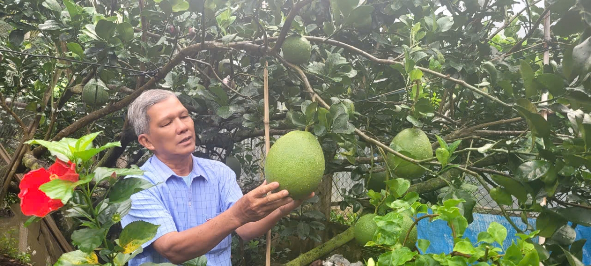 Dù tuổi cao nhưng các cụ sức khỏe khá tốt, tích cực lao động cùng với con cháu trong gia đình