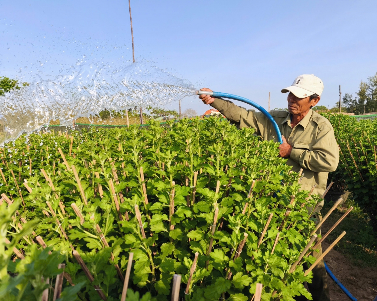 Klêi rôh khía mơhot kân, têa lân lu, tơdroăng cheăng rak ngăn loăng reăng tơvâ tơvân tâ