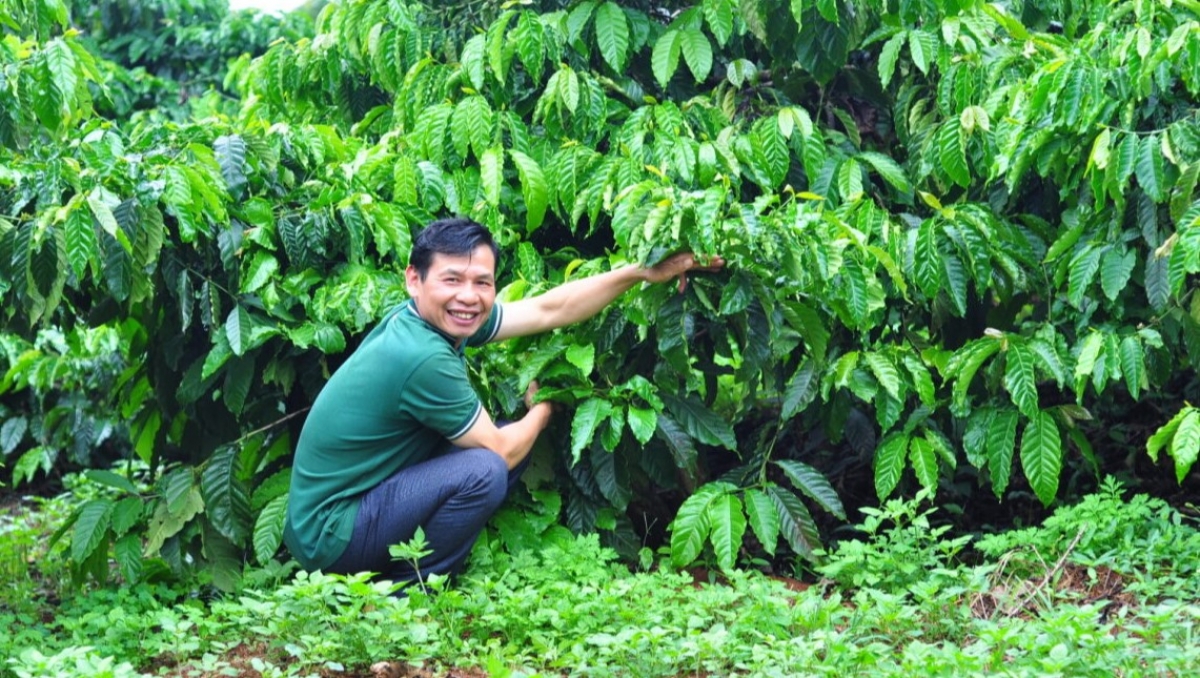 
Kon pơlei choh jang sa Lâm Đồng pơm tơlĕch cheh phe rơgoh kơjăp