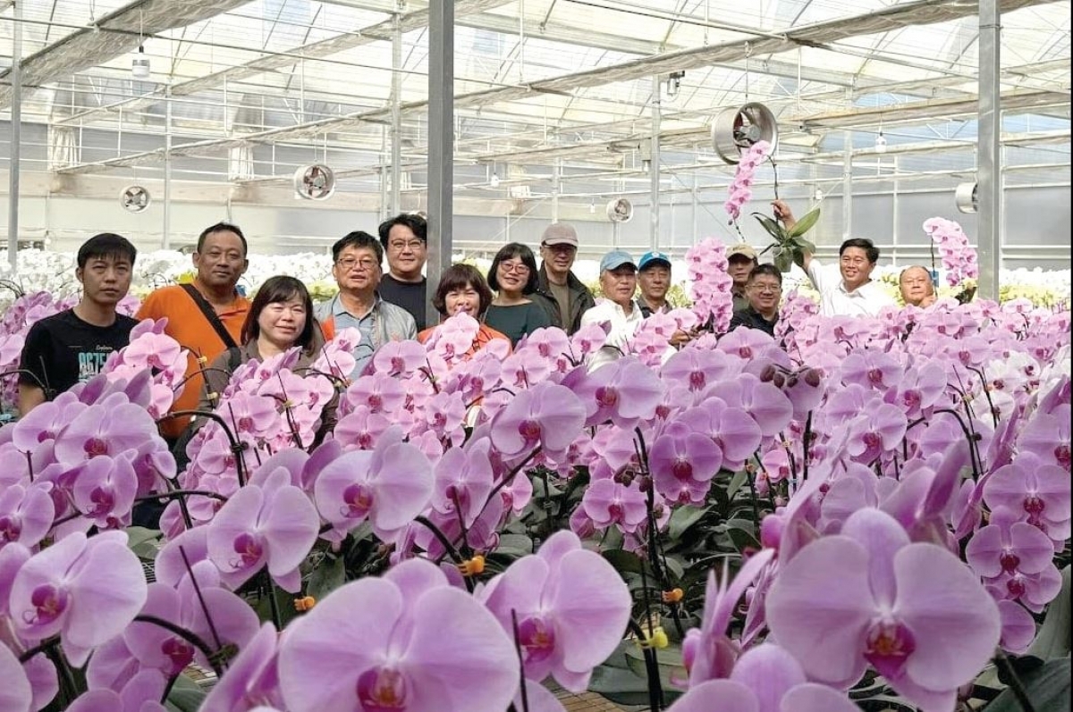 Kao Lan Hồ Điệp ueh ntơr vơt năm mhe