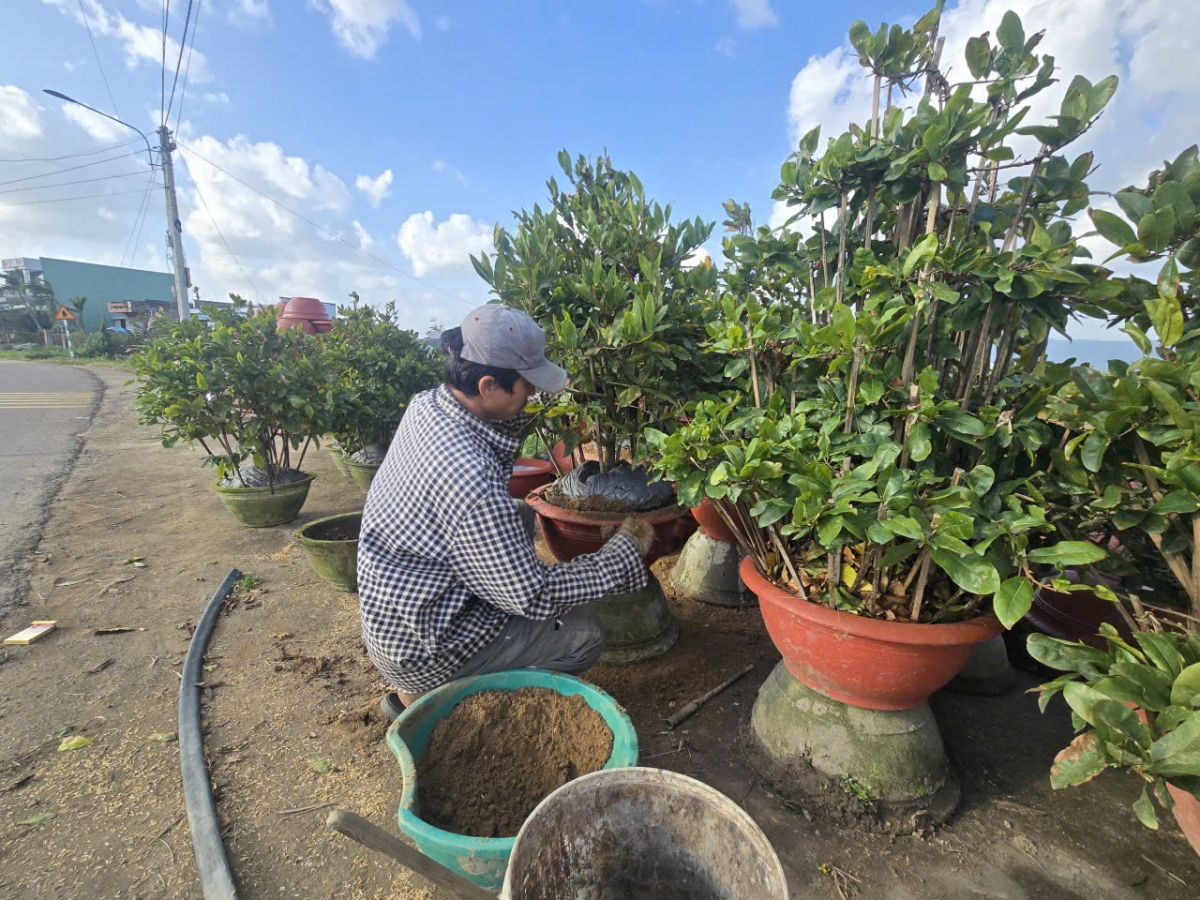 
Bơngai pơtăm tơplih kơchŏu ăn ‘long mai vă kăt hơmet hla