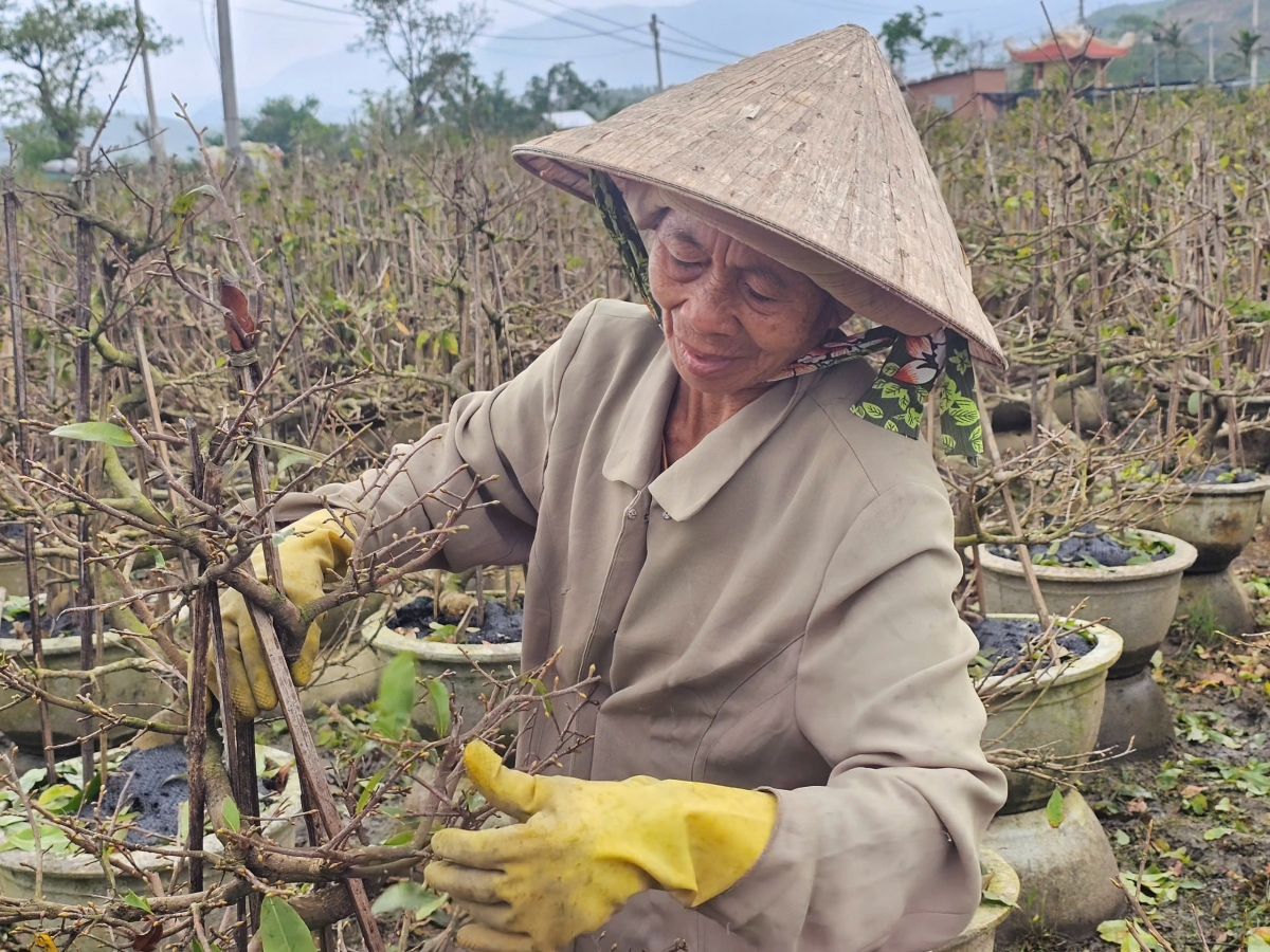 
Kon pơlei phường An Nhơn Bắc hăt kăt, pleh hơmet hla ăn ‘long mai