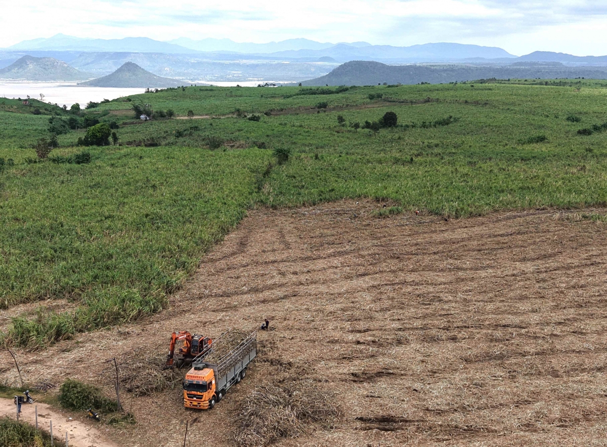 Ƀuôn hgŭm Ia Hrú (čar Gia Lai) jing krĭng pla kbâo phŭn mơ̆ng mnuih djuê ana  Jarai. 