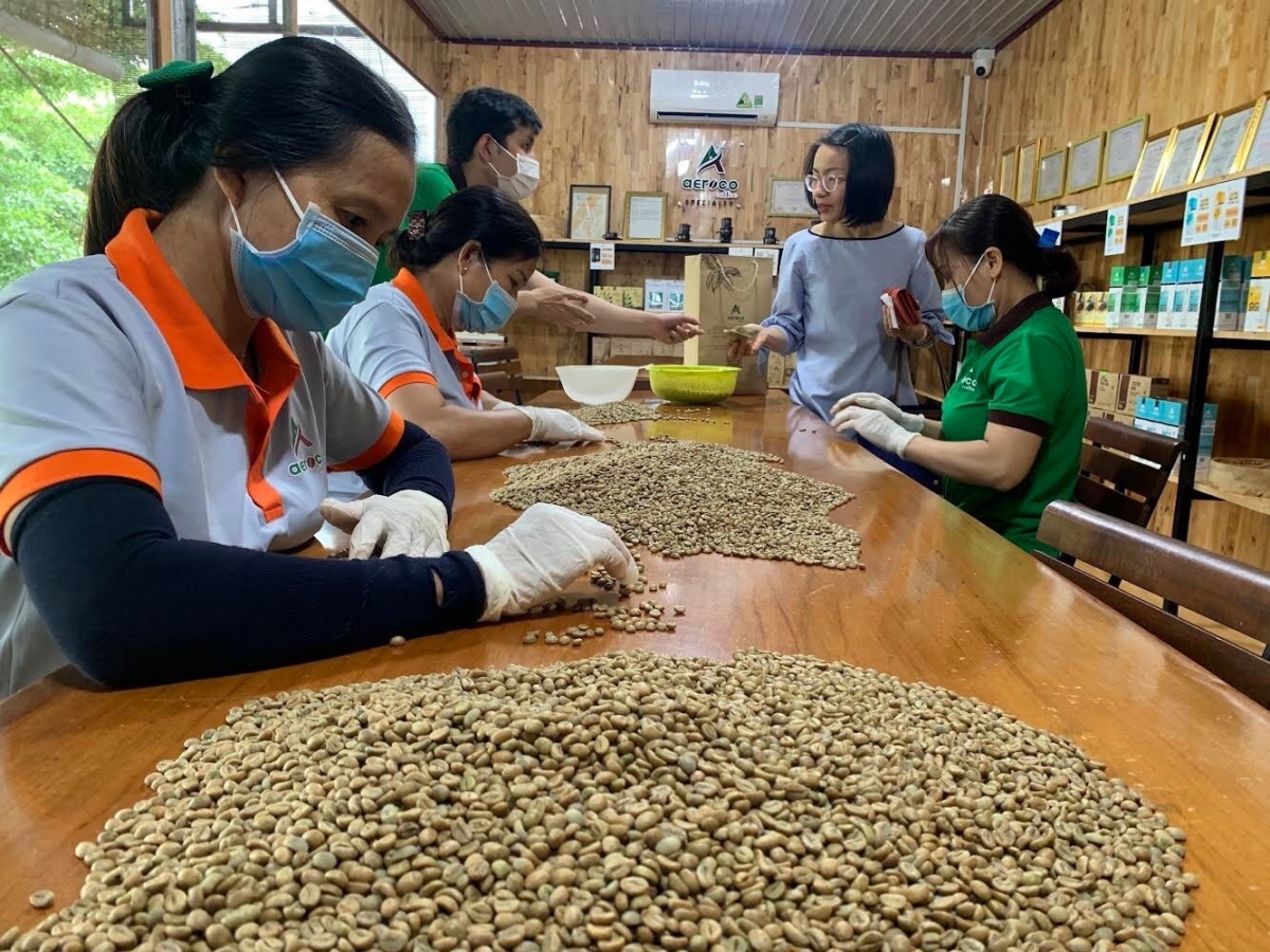 
Trong atŏk tơ iung ‘nao, iŏk khoa hŏk-kmăi kmŏk, tơplih ‘nao tơchăr trŏ lăp hăm tơdrong yan ou kơ Tây Nguyên - Nam Trung bộ.
