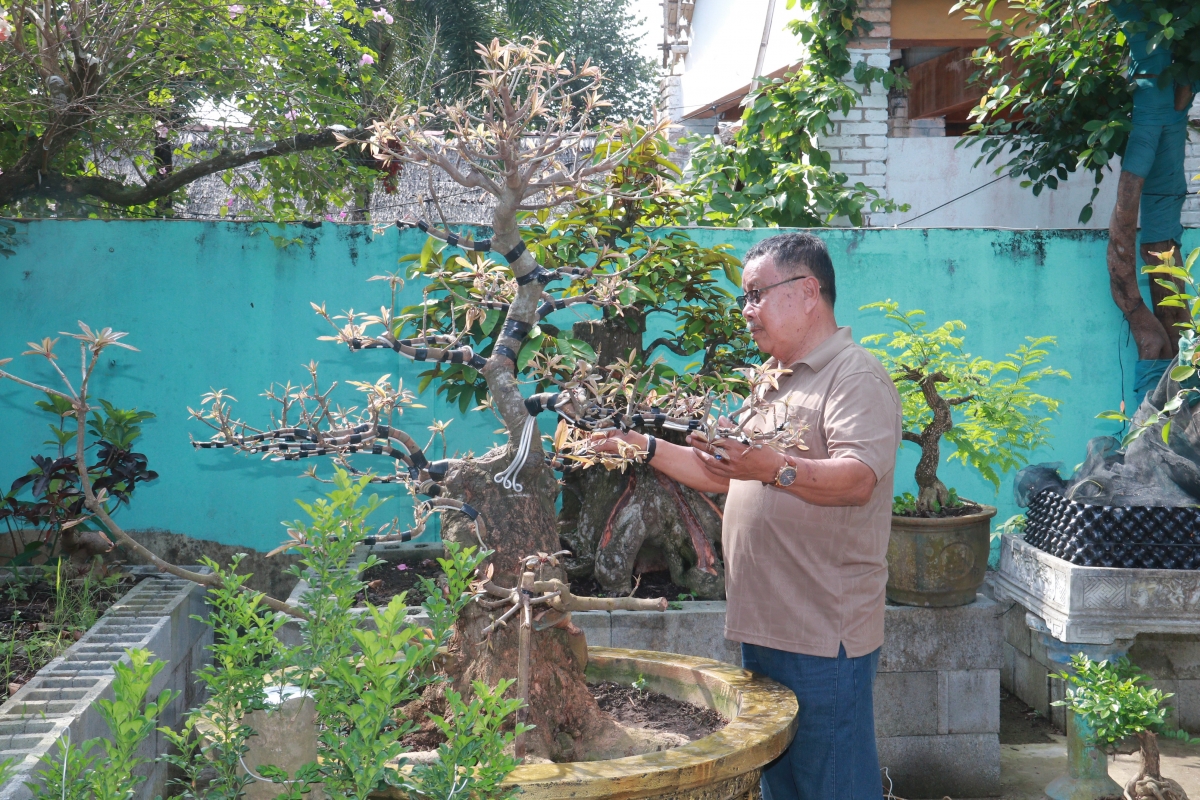 Nghệ nhân Thach Soi với hơn 40 năm gắn bó nghề kiểng