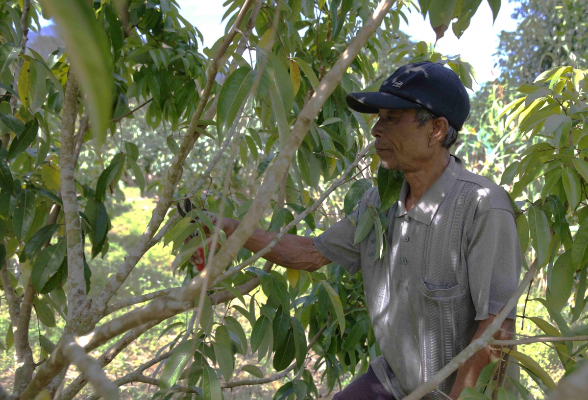 -Ƀĭng ngă lŏ hma Dak Lak bi lông ktưn mă bruă tŭ drông klei kƀĭn kluôm mơ̆ng Đảng.