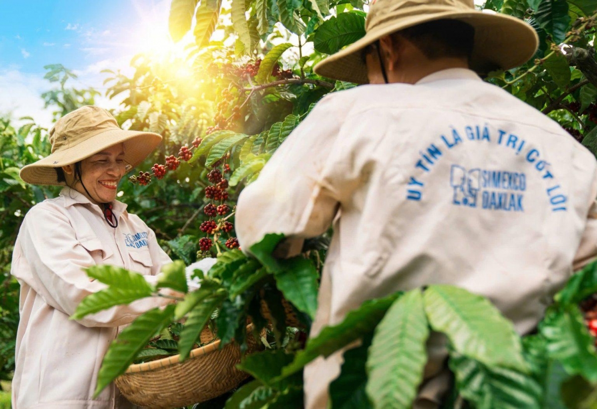 Tàm ală mpồl lơh broă kơnòl lơh sa, kă bro geh pơgồp bal mờ ală jơnau kờñ tàm pơrlòng