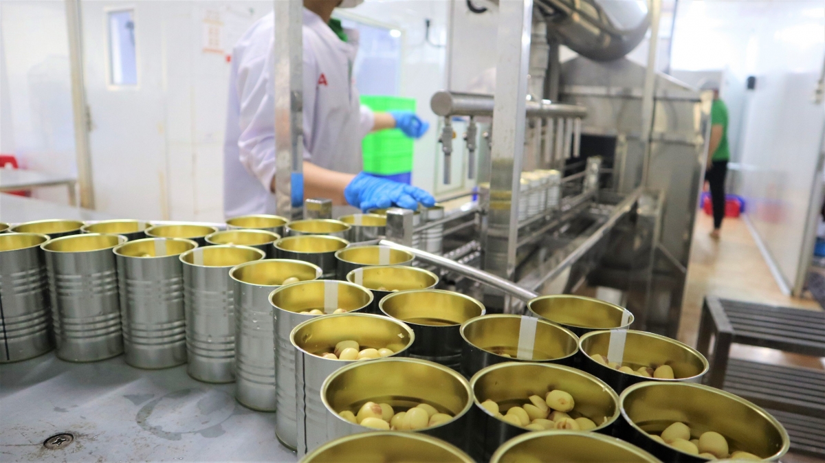 Nhiều doanh nghiệp sản xuất các mặt hàng nông sản vùng ĐBSCL tập trung nâng cao chất lượng, đầu tư trang thiết bị, dây chuyền sản xuất