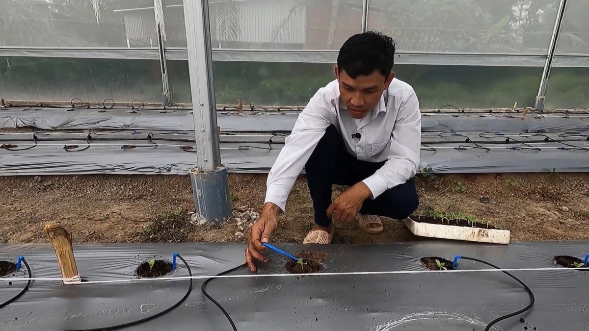 Nông dân Khmer Huỳnh Sa Rây với gần chục năm kinh nghiệm ứng dụng tưới nhỏ giọt trong canh tác dưa lưới