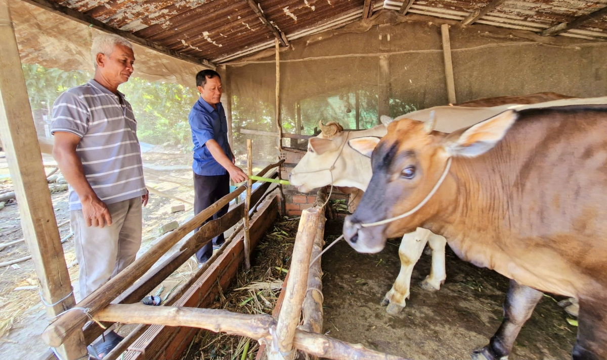 Ông Sư Tùng (áo xanh) cùng tập thể Chi bộ ấp Nước Mặn II luôn quan tâm chăm lo sinh kế cho người dân