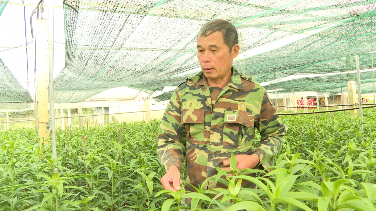 Ông Nguyễn Ngọc Tế ở thôn 3, xã A Lưới 2 chăm sóc vườn hoa của gia đình