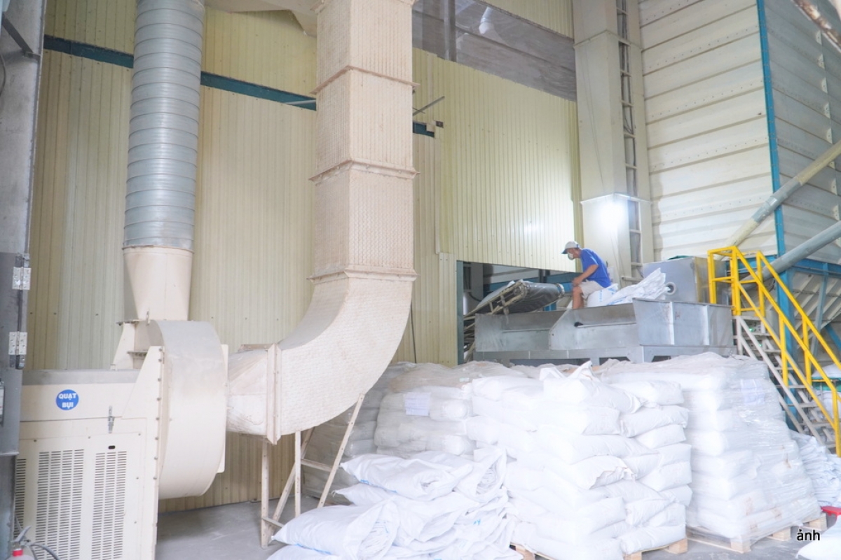 Thế mạnh sản xuất và xuất khẩu gạo tại vùng ĐBSCL