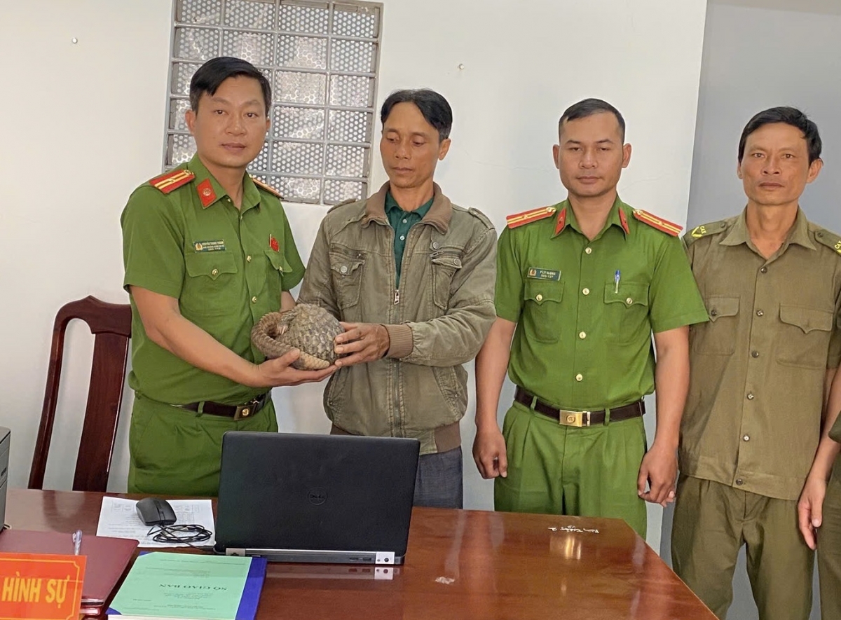 Kuăn pơlê cheăm Dak Liêng – Dak Lak mơhnŏng pơcháu nâp mơnhó Java