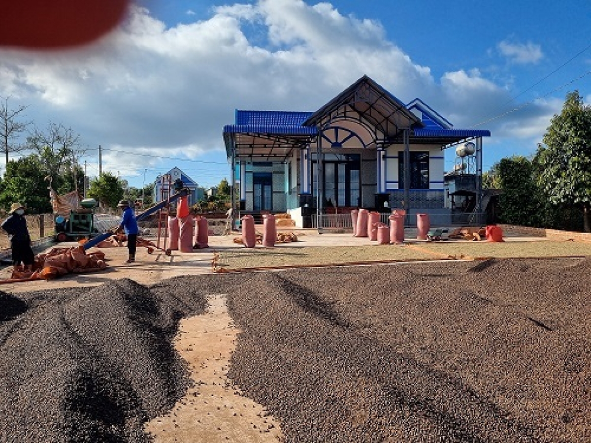 
Kon pơlei kon kông tơ̆ Gia Lai chơt hơ iă pơyan chehphe plei lơ, tơdrong hơrih sa roi năr roi phĭ tơtŏ dơnŏ ‘lơ̆ng dơ̆ng kơjăp.