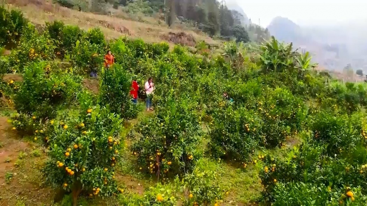 
Đơ̆ng mạng tơpôl, hơnih tĕch răt điên thư, kon pơlei choh jang sa Lào Kai pơ̆n tơroi găh tơdrong choh jang sa,m tơƀưh dih băl tĕch răt tơmam drăm.