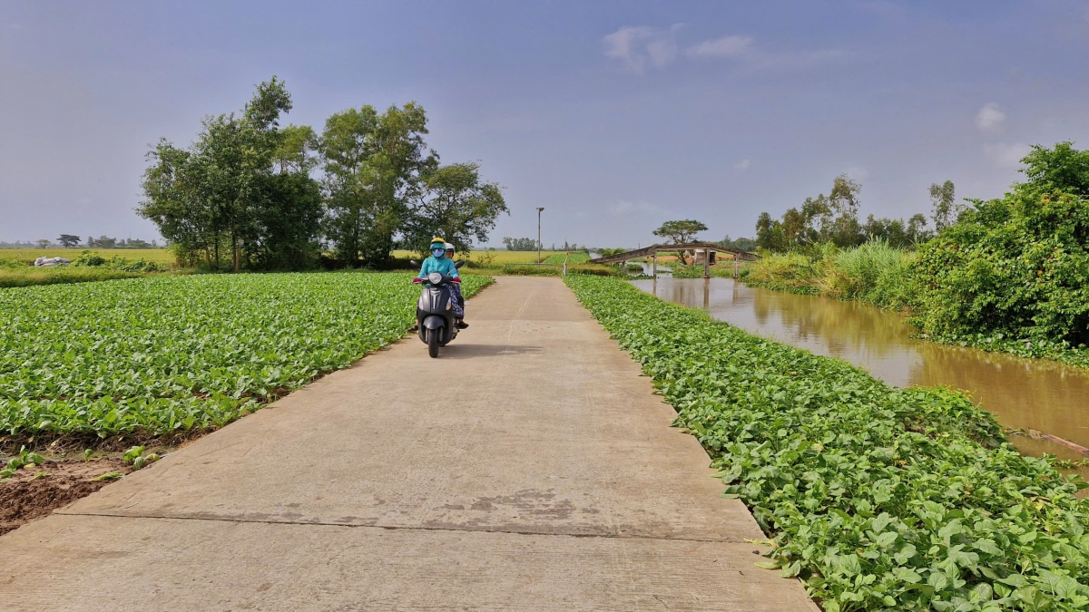 Lộ giao thông nông thôn được đầu tư xây dựng đến vùng sản xuất của bà con