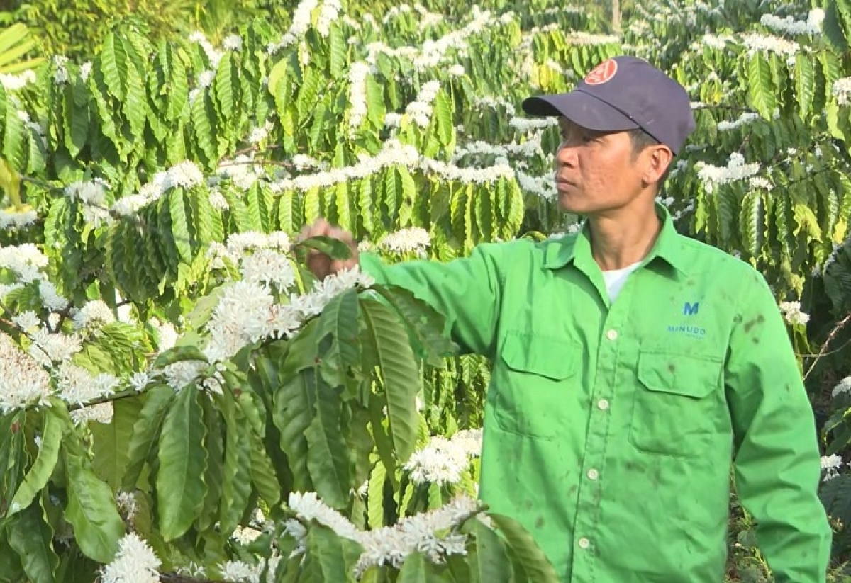 Kuăn pơlê Ea Kao, Dak Lak lo pêi cheăng tôh kơphế