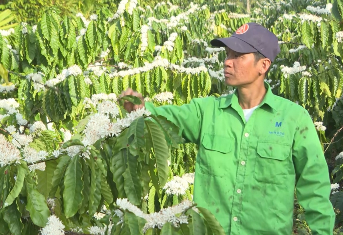 Kon pơlei jang chŭn mir tơ̆ Ea Kao, Đắk Lắk năm pruih đak ăn cheh phe