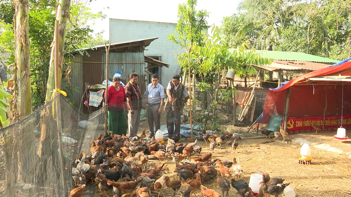 Ông Mang Mu (bên phải ngoài cùng) chia sẻ kinh nghiệm nuôi gà thịt 