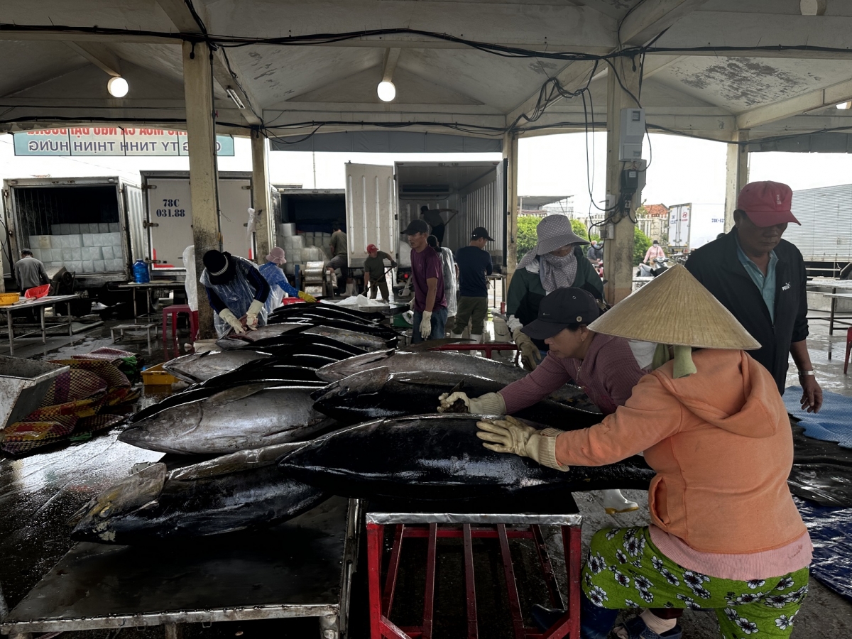 
Kơtă ah blŭng sơnăm 2026, kon pơlei jang rôp you ka Đăk Lăk đei yua lơ pơyan rôp ka ngư, sô̆ hơ-iă sơng Têt Bính Ngọ