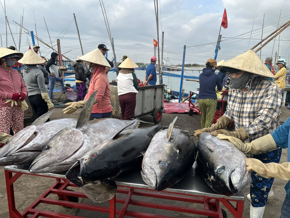 Ka ngừ geh jun tus bơh ơhò tàm anih ơhò ka ơm Đông Tác