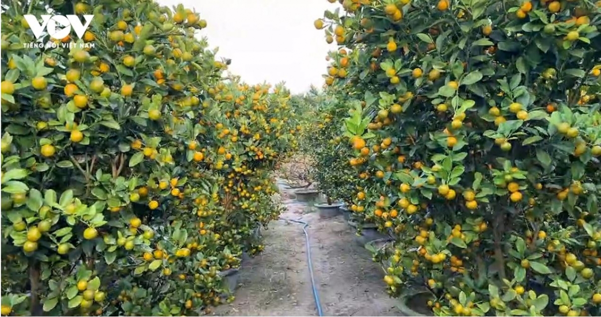 -Mnuih ƀuôn sang lŏ bi krŭ wĭt klei hdĭp leh anăn bruă knuă.