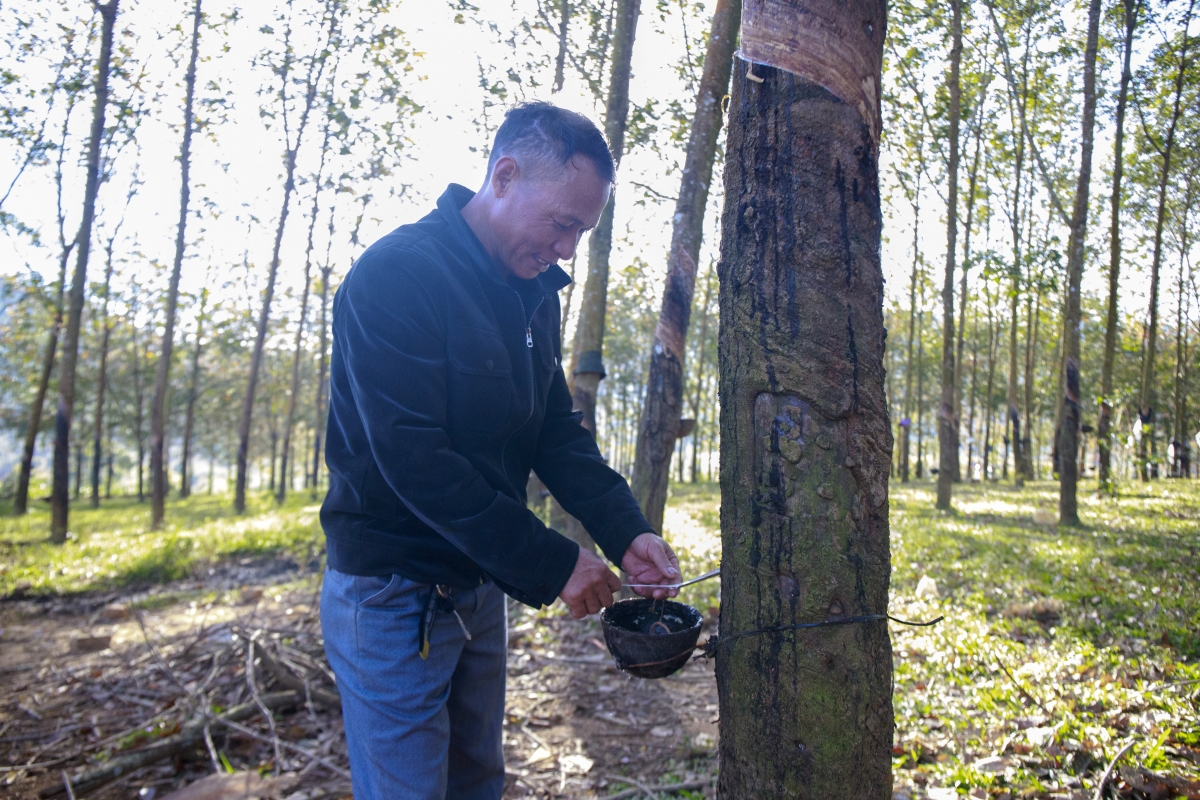 -A Đâm reh ktăk ksu