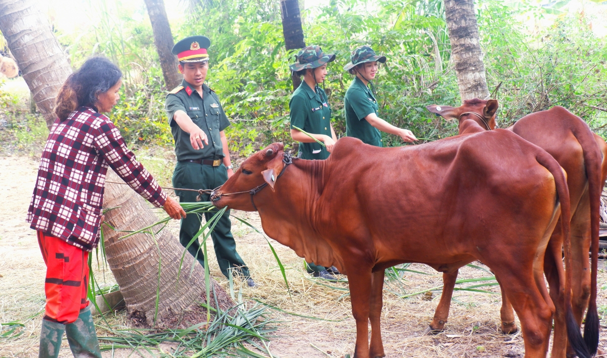 Các Đảng viên-Tri thức trẻ tình nguyện giúp dân trong chăn nuôi