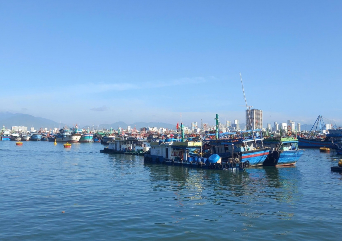 Tuk hrik têa châu vâ mâu plong tuk lo lăm tơnăng ká a têa kơxĭ ton hâi