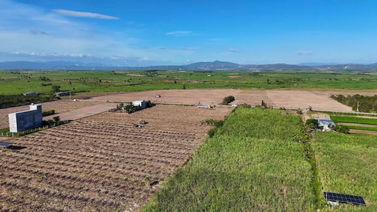 Tiah tam tàu neh geh lơh sồ bơh kông ty AgriS Gia Lai dê