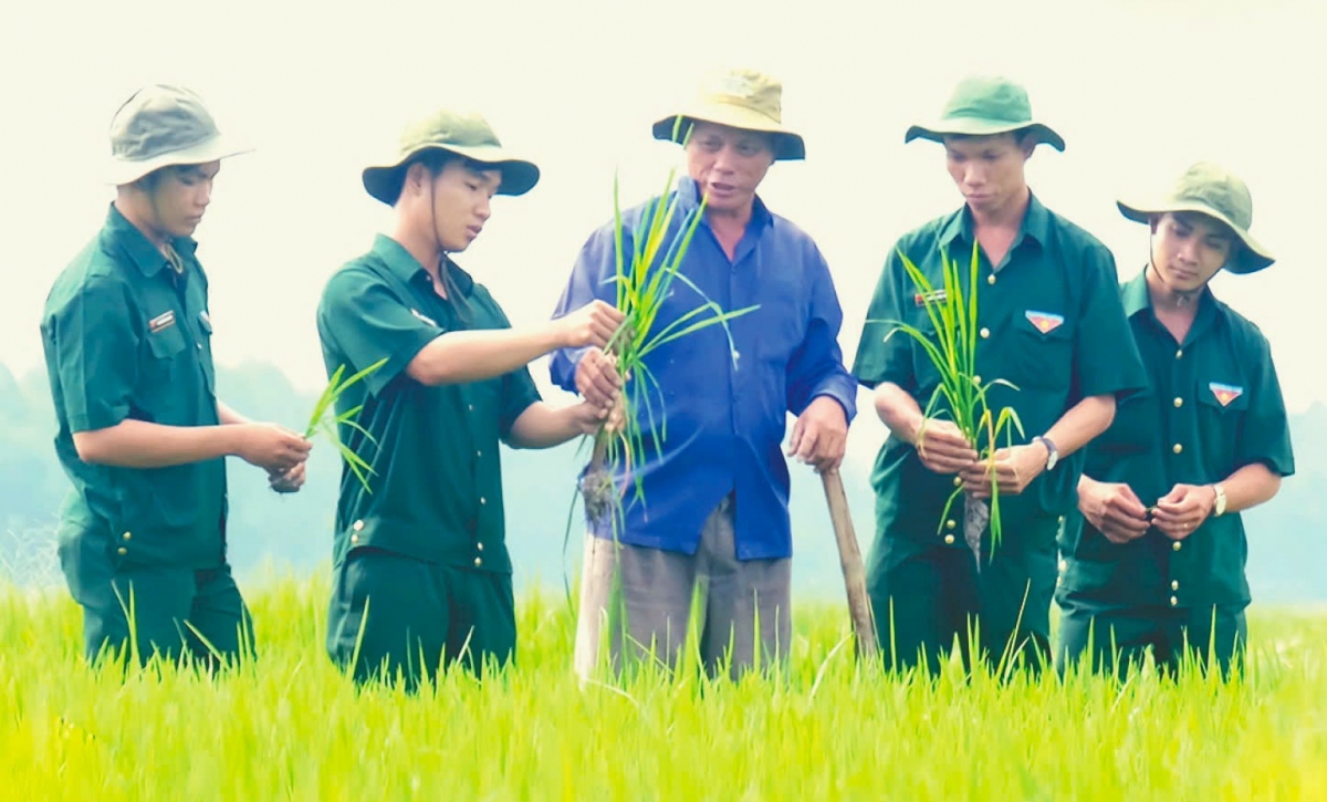 Các Đảng viên-Tri thức trẻ tình nguyện giúp dân trong sản xuất nông nghiệp