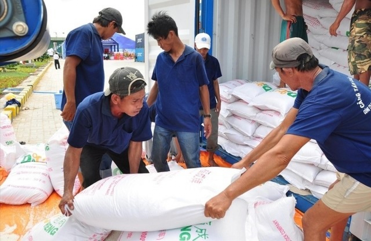 Xuất cấp hơn 14.458 tấn gạo từ kho dự trữ quốc gia cho nhiều tỉnh, thành phố nhằm hỗ trợ Nhân dân dịp Tết và giáp hạt đầu năm.