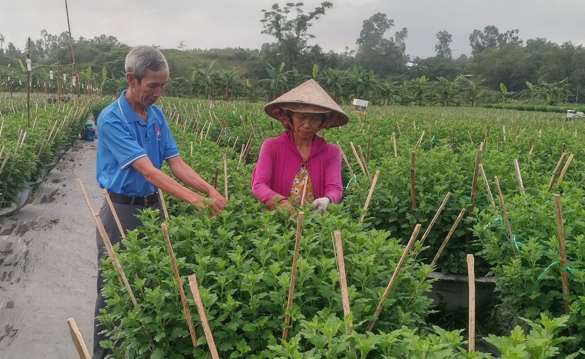 Ngay từ đầu năm 2026, nhiều hộ dân trên địa bàn xã Hòa Vang đã được giải ngân vốn vay để phục vụ sản xuất, kinh doanh.