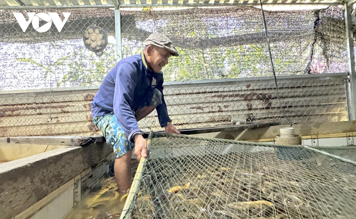 Lanung oh hu gluh meda ein mbang dalam tukvak katut min oh ciuk hu ia njom nerak