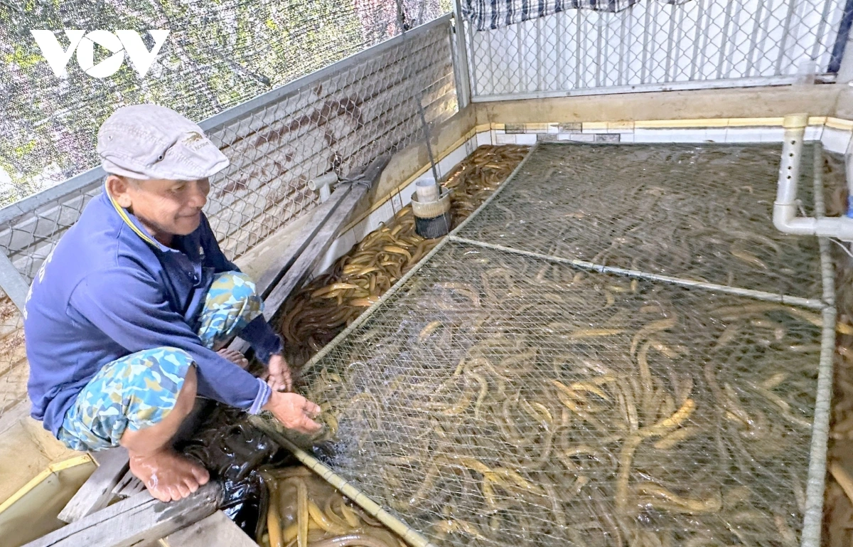 Bruk ngak mbang daok daong rahra parilo jien mek tame, tani tanat raidiuk
