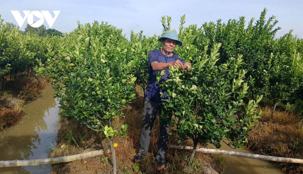 Mikva urang ngak nong sangka bein phun hadei Tet