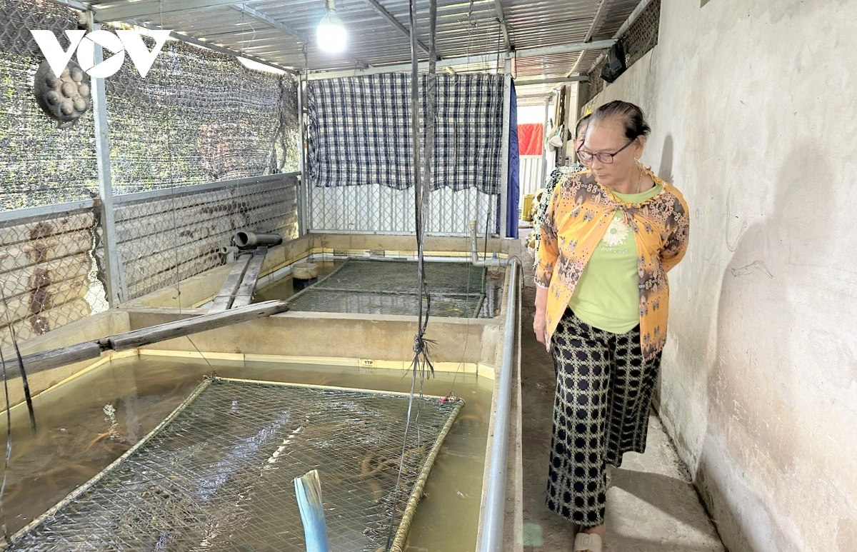 Bruk raong lanung oh hu gluh dak harei dak ngak hu jalan patrun kathaot karo kajap saong patagok kinh te, xa hoi di bhum palei