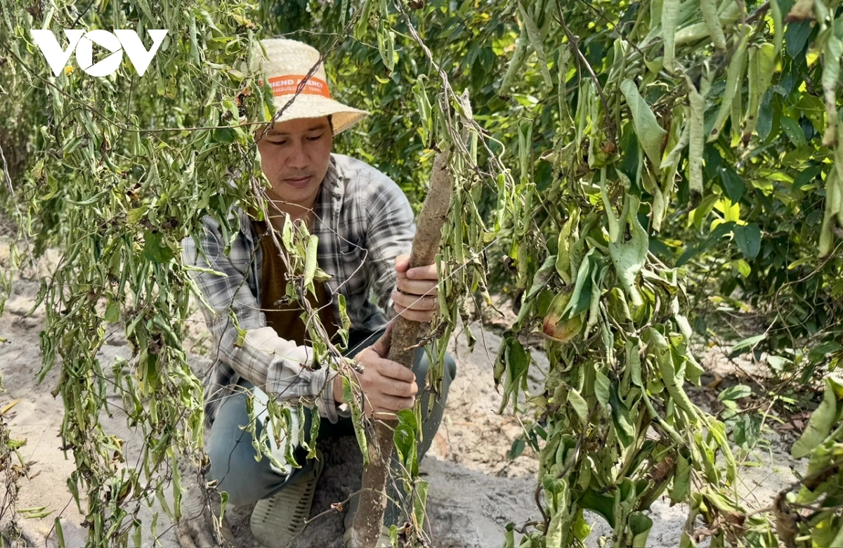 Kaya akaok habei athah hadei ngak tapung hu pablei tabiak rilo labik