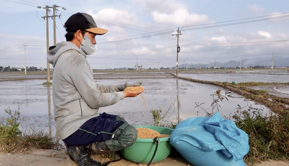 Cau lơh broă sa sàh Hoà Thịnh, càr Dăk Lăk rơcăng sih tam sơntìl kàl Mrềt Prăng