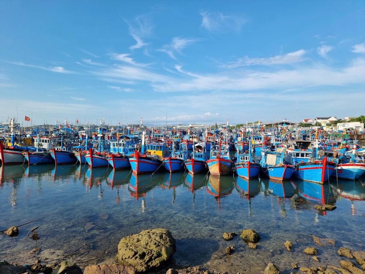 Tàu ka ta Khánh Hòa
 