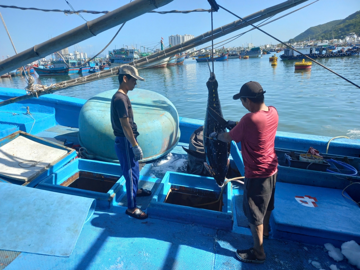 Cau lơh ka rê, pơn jăt tai rơcang phan ai dơ̆ lòt lơh ka tàm dà lềng pa in