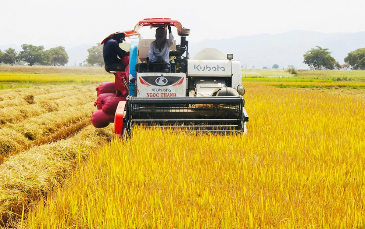 Bơyan yuă hơpuă amăng hmua pơdai Ia Rbol