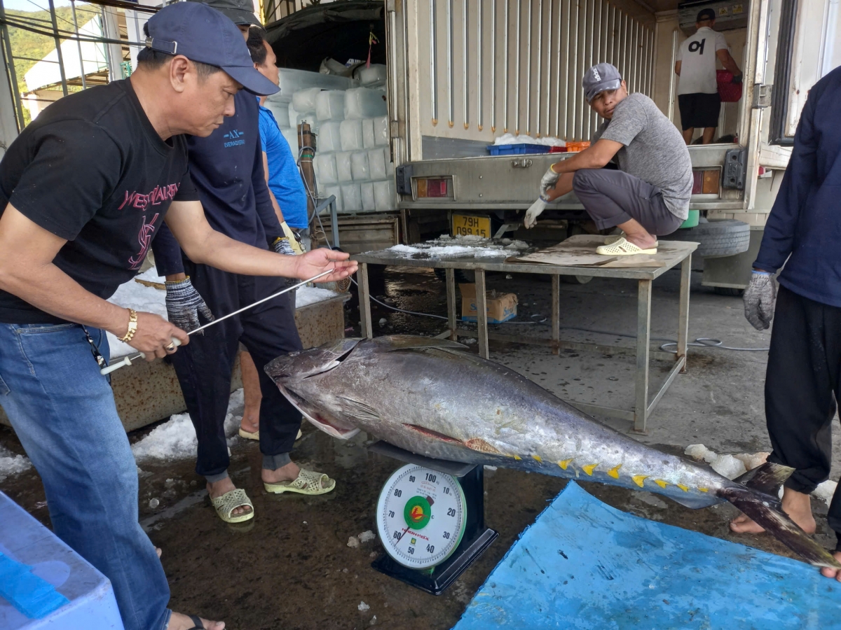 Ka ngừ đak dơsĭ đei rôp iŏk đơ̆ng tơring đak dơsĭ Trường Sa