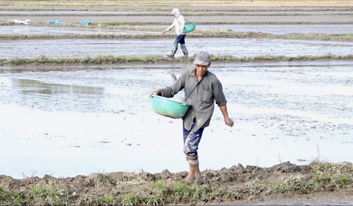 Hăng pơjeh pơdai ƀiă hrơi blan, mơnuih ngă hmua čang rơmang pơdai boh jor hloh bơyan hmua pơdai puih phang thun anai dưi pơhlom hơđong