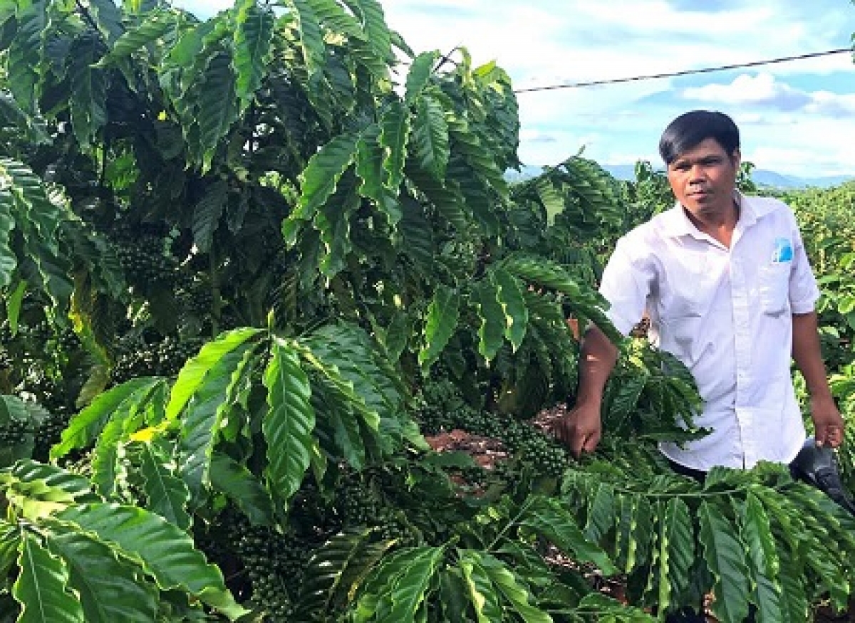 
‘Nhŏng Xuĭn vei lăng pơgar cheh phe, adrin hŏk, jang kiơ̆ khoa hŏk ki thuơ̆t ‘nao