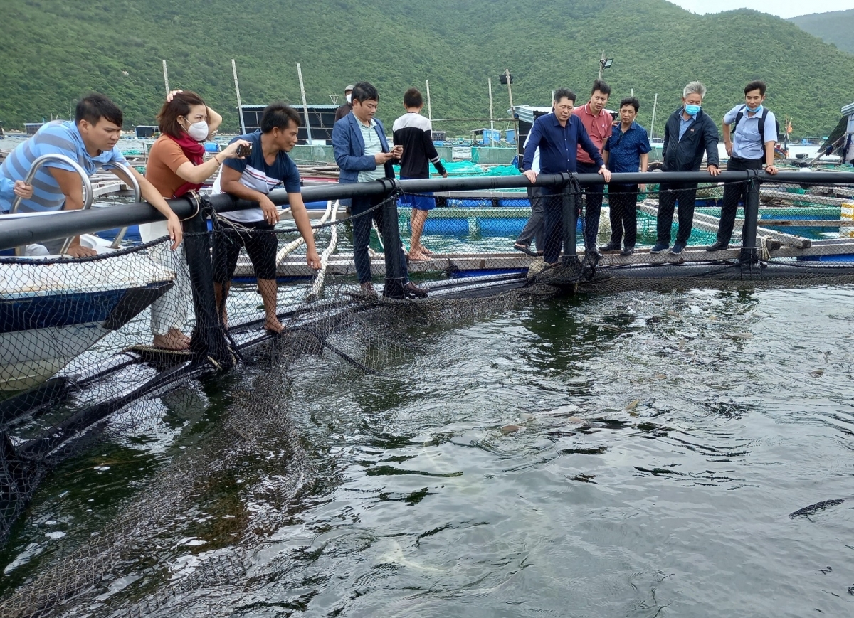 Khánh Hòa dế tơbleăng mâu túa pêi cheăng tiô túa nếo păn ká xi xŏng