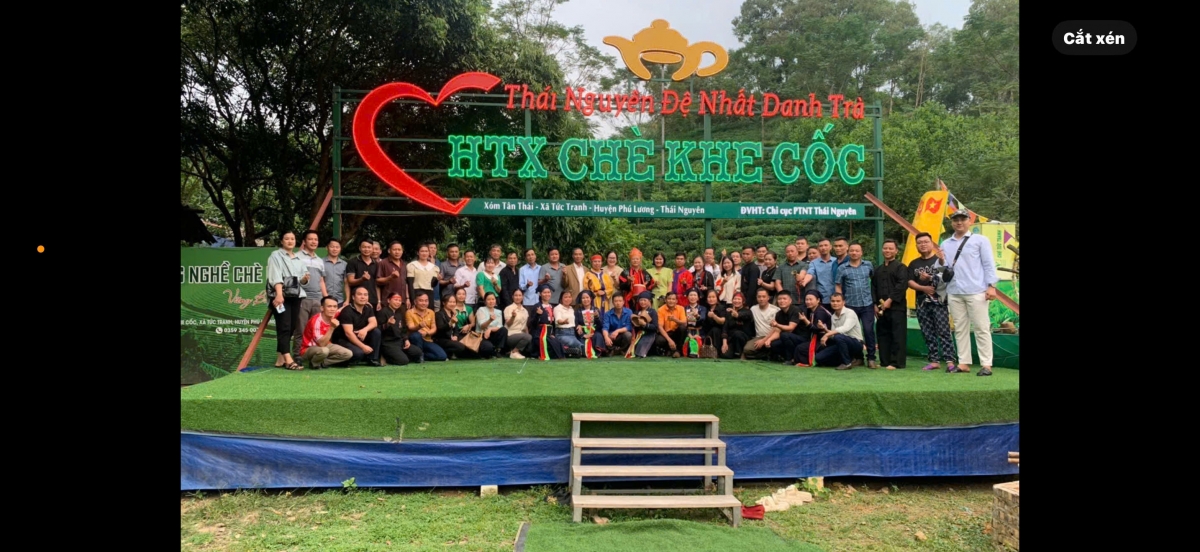 Du khách đến tham quan HTX chè Khe Cốc