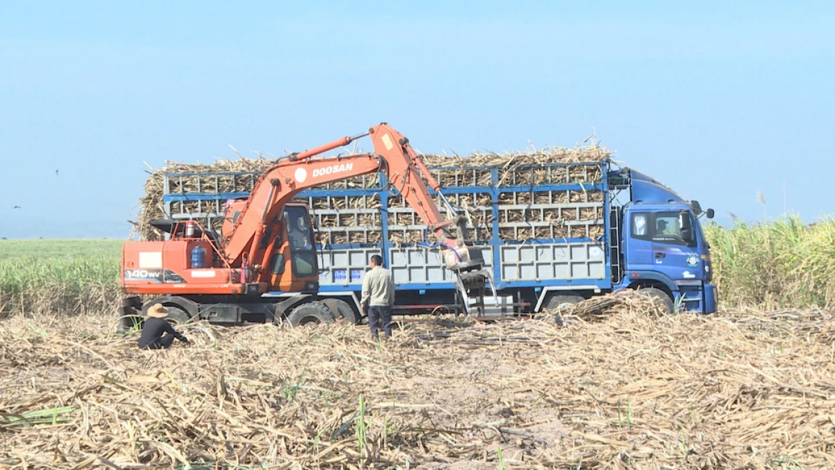 
Tơplih  hăm kơmăy sô̆ oei dar dĕh tơgŭm pơm tơplih tơdrong choh jang xa tơ̆ Gia Lai