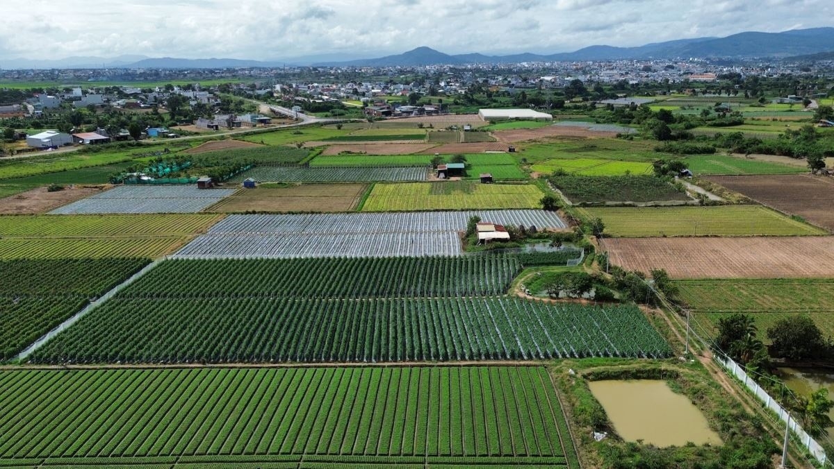 
Xăh Đức Trọng choh jang sa iŏk yua kơmăy kơmŏk ‘nao