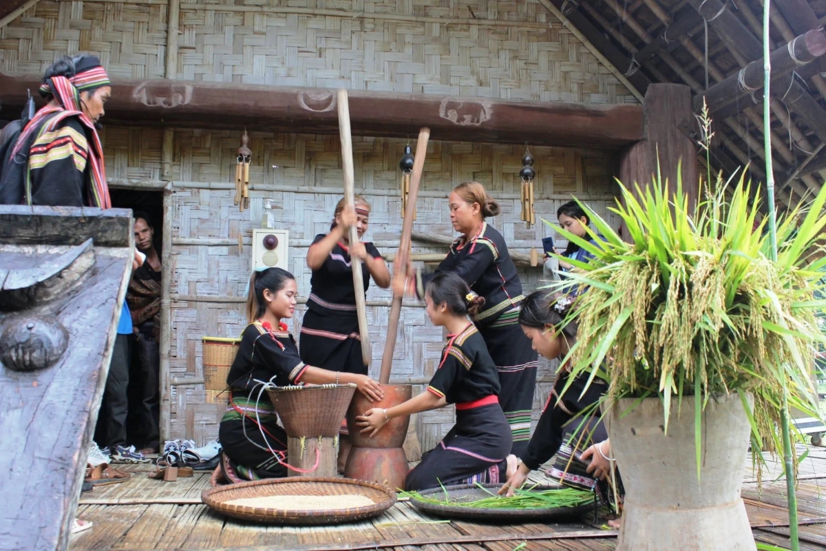 Rùp ai bơh tàm internet